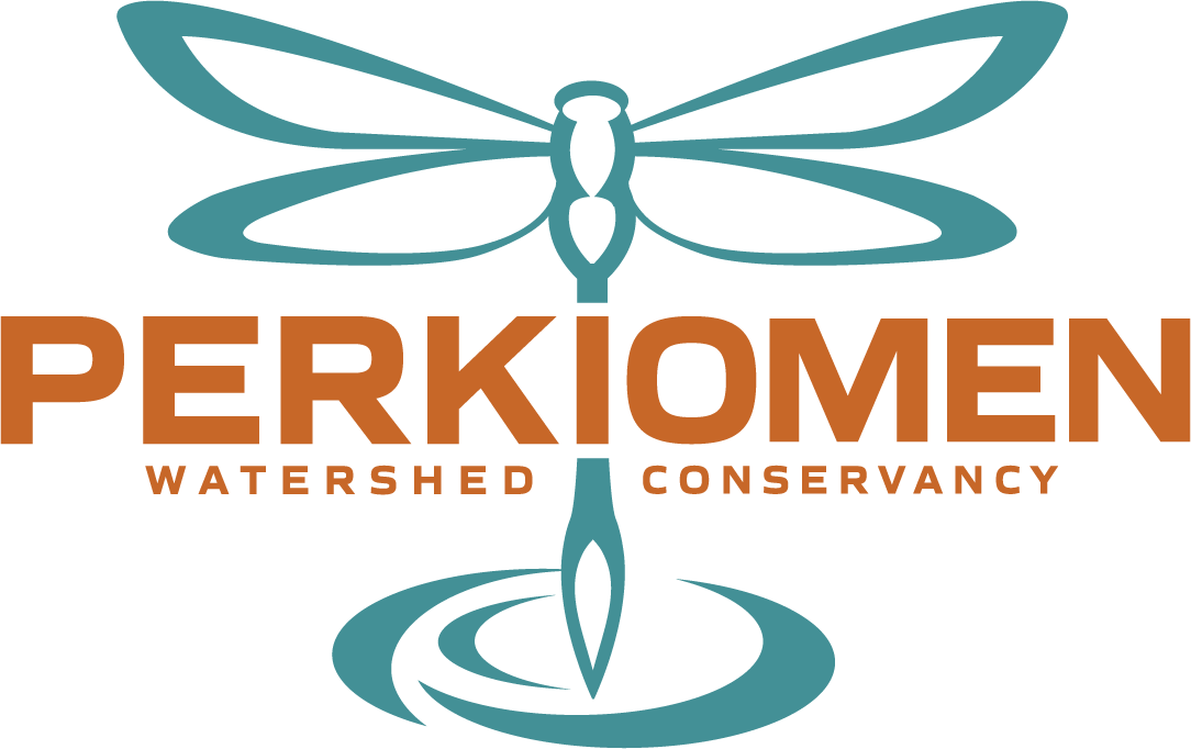 Perkiomen_Logo_Color